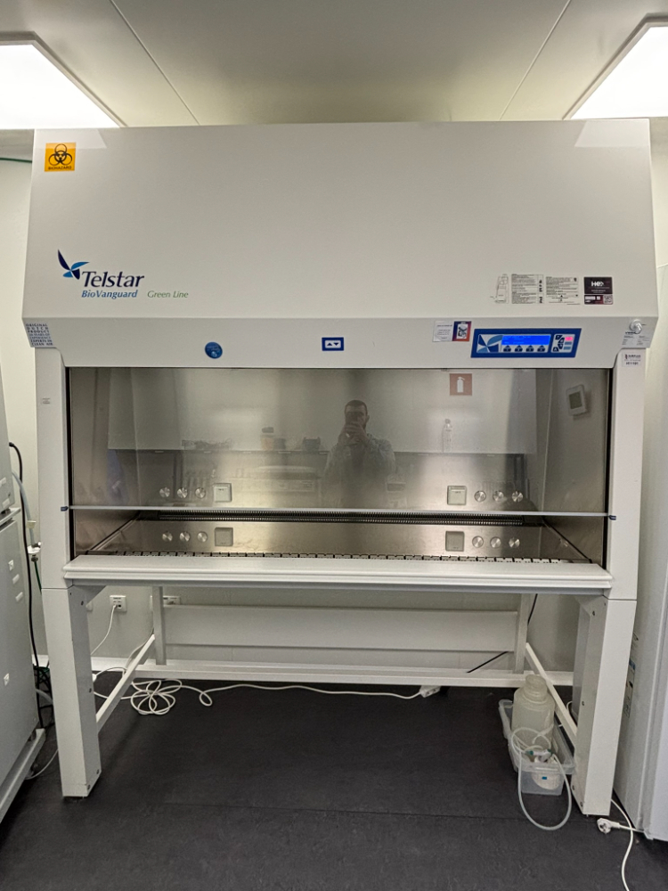 Image of Telstar Bio Vanguard Green Line Safety Cabinet